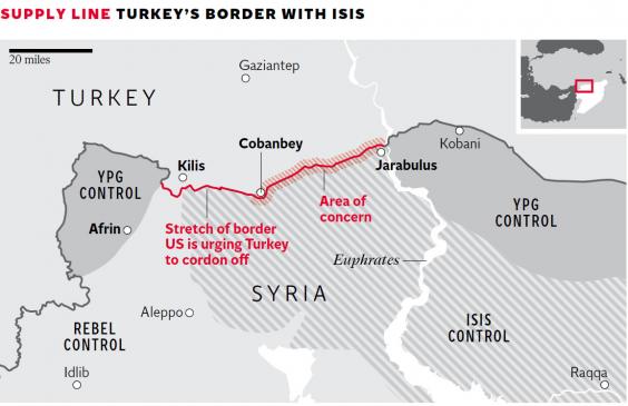 Turkeys-Border.jpg